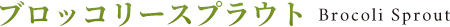ブロッコリースプラウト